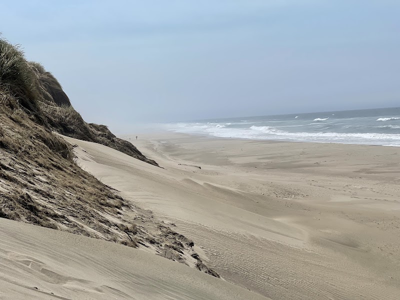 Florence South Jetty surf zine photo