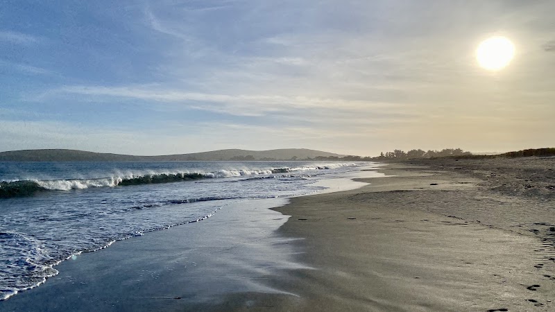 Bodega Bay / Doran Beach surf zine photo