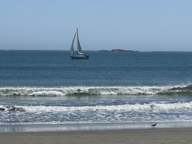 Bodega Bay / Doran Beach surf zine photo