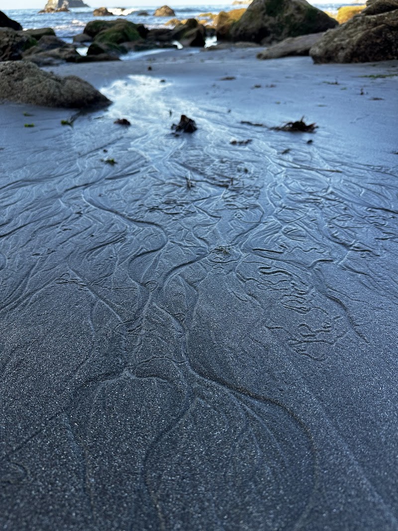 Brookings (Harris Beach) surf zine photo